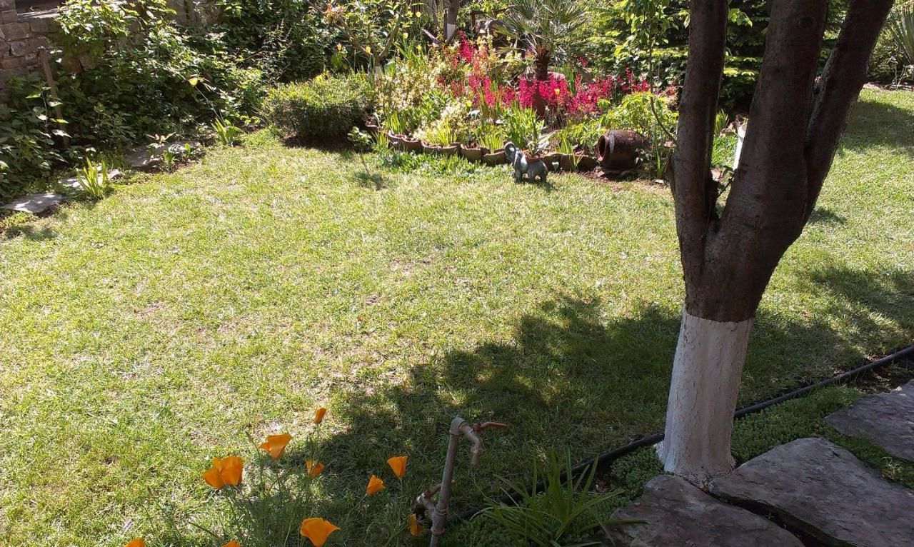 Гостевой дом Vila Krista Солнечный Берег-33