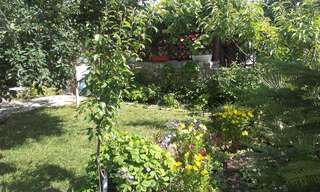 Гостевой дом Vila Krista Солнечный Берег Двухместный номер с 2 отдельными кроватями-3