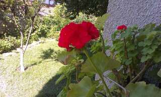 Гостевой дом Vila Krista Солнечный Берег Двухместный номер с 2 отдельными кроватями-8