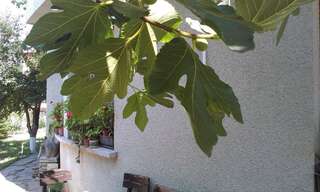 Гостевой дом Vila Krista Солнечный Берег Вилла с видом на море-22